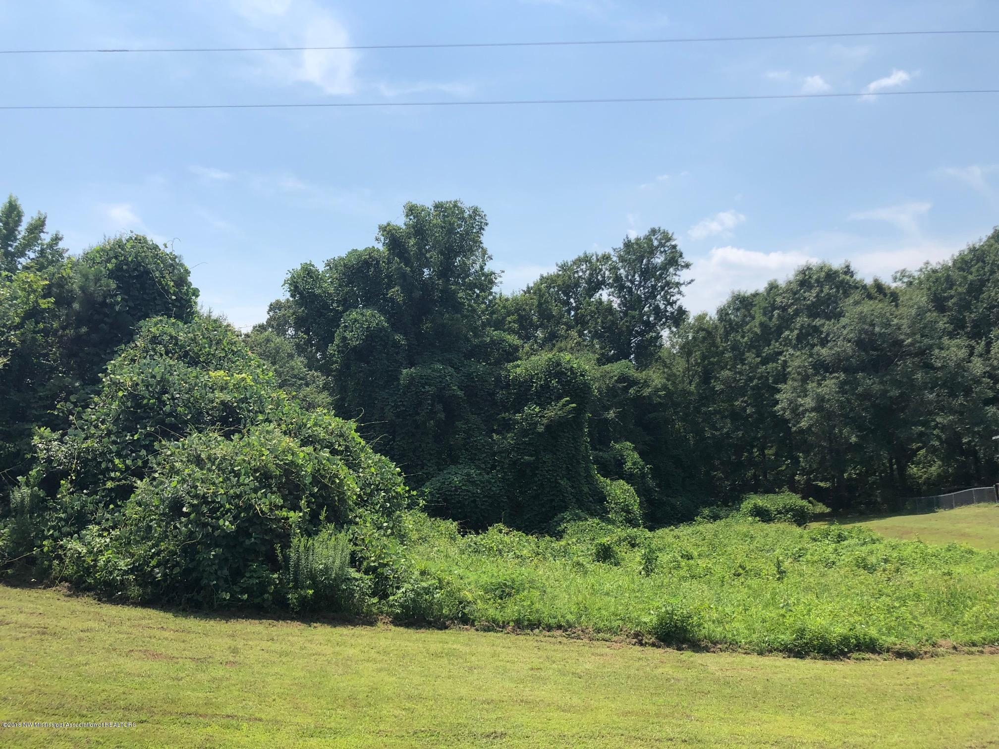 0 Lee Road Byhalia, MS 38611 - Photo 1 of 5 IMG_4368