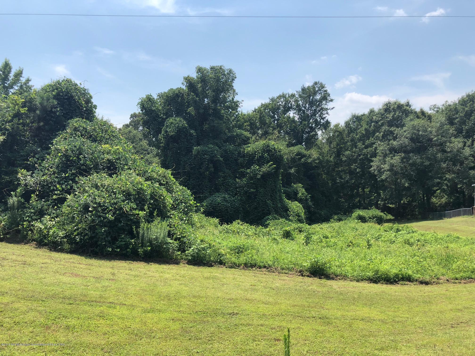 0 Lee Road Byhalia, MS 38611 - Photo 2 of 5 IMG_4365