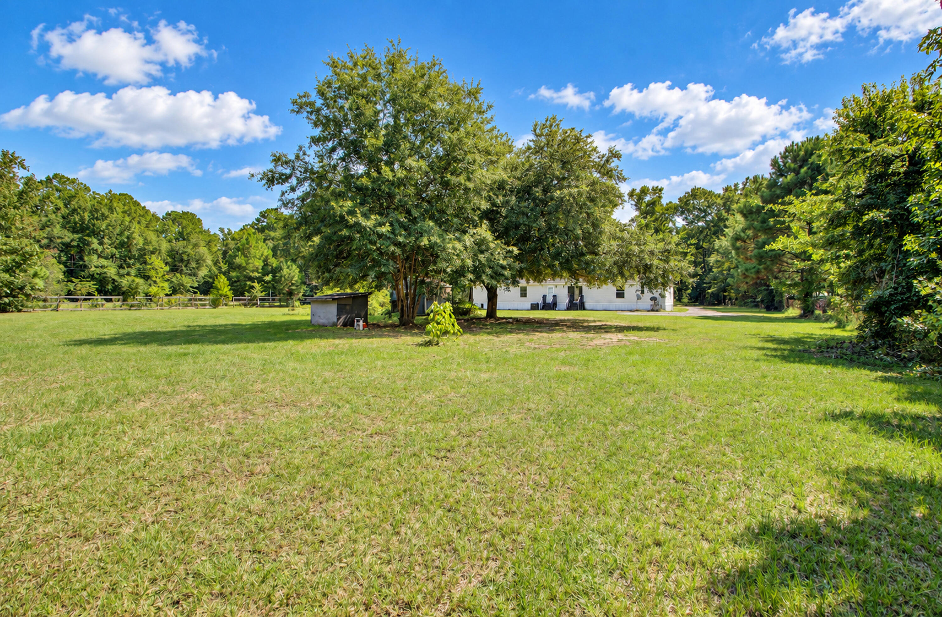 6230 Hyde Park Road Ravenel, SC 29470 - Photo 13 of 59 Yard