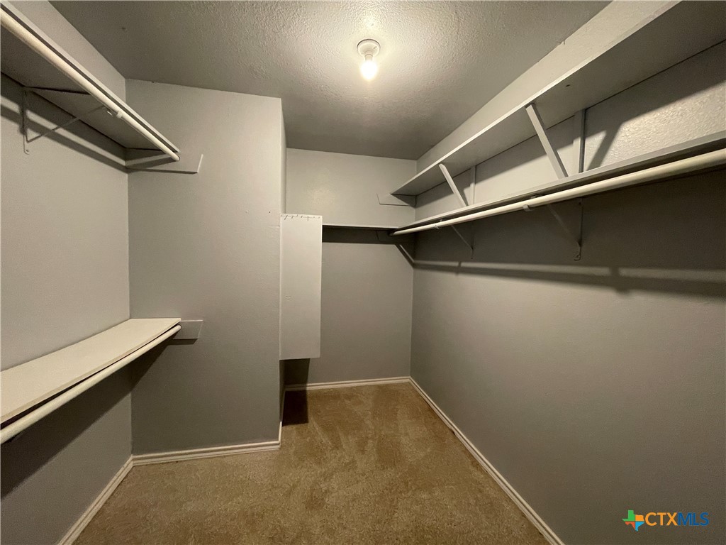 3605 Buffalo Trail Temple, TX 76504 - Photo 15 of 31