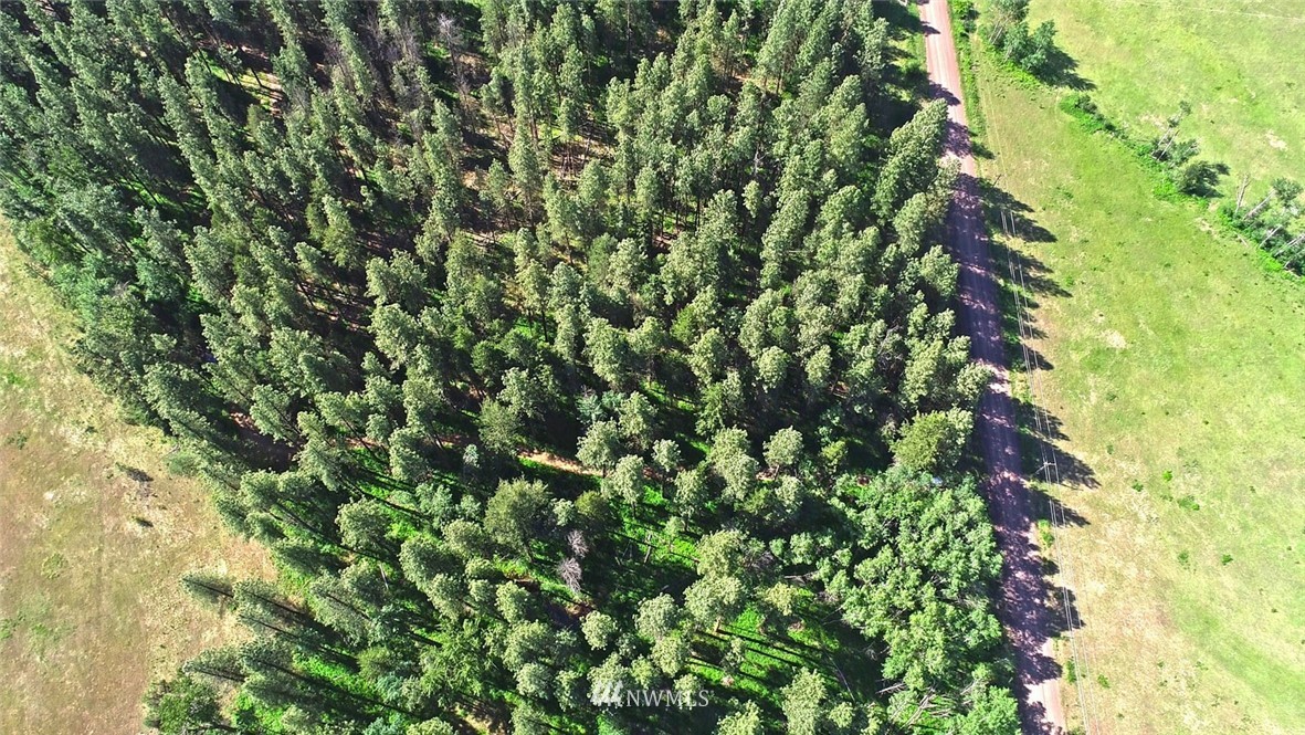 25 Kumm Road Winthrop, WA 98862 - Photo 22 of 25 Gallery Image 22