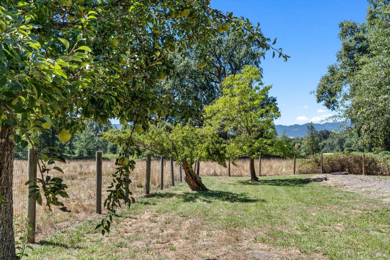 24800 Mendocino Pass Road Covelo, CA 95428 - Photo 30 of 57