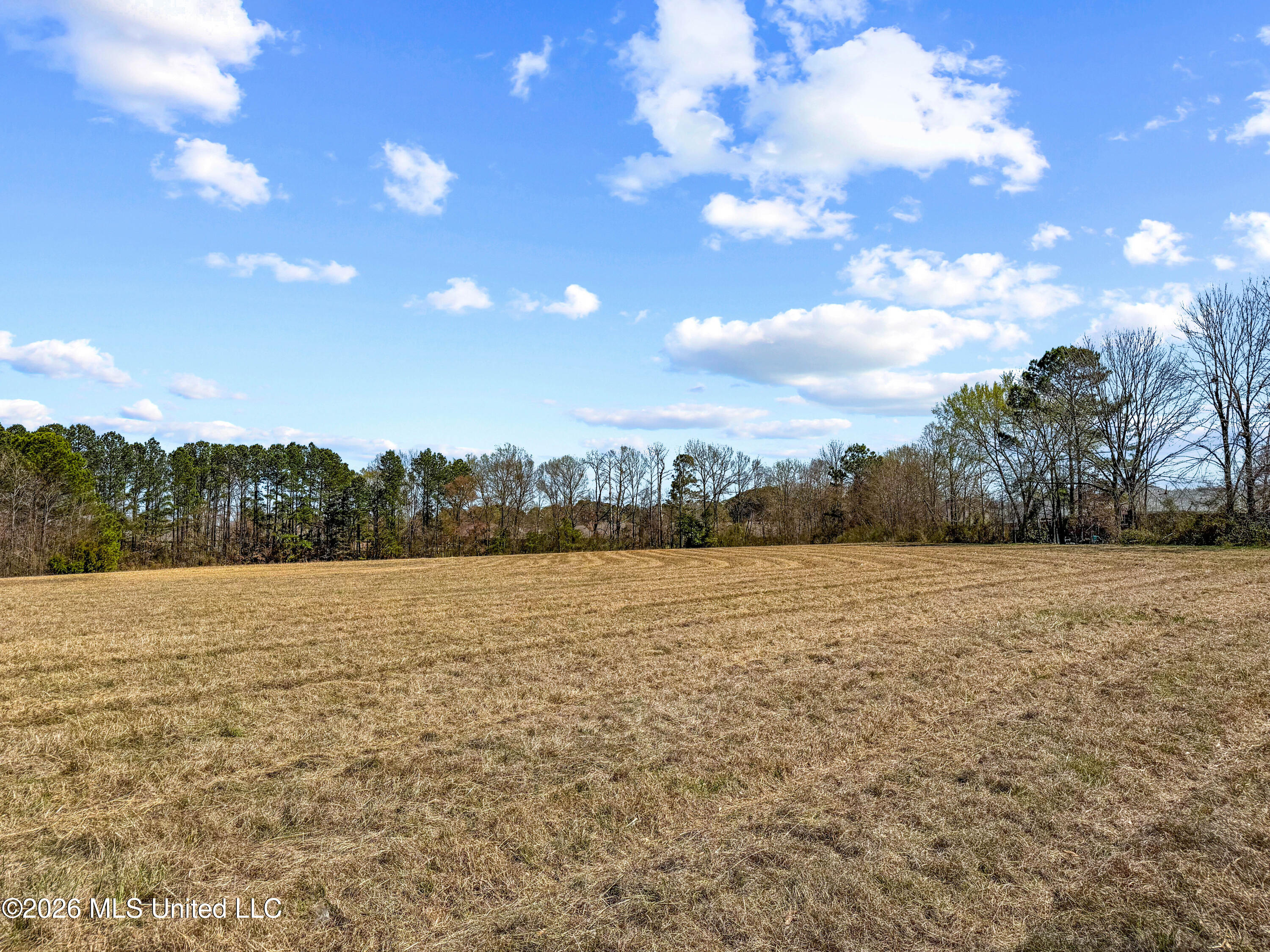 Old Fannin Road Brandon, MS 39047 - Photo 17 of 18 IMG_1135