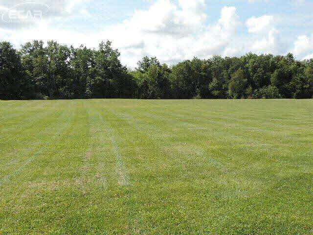 2442 King Road Lapeer, MI 48446 - Photo 29 of 29 20446016-28.JPG