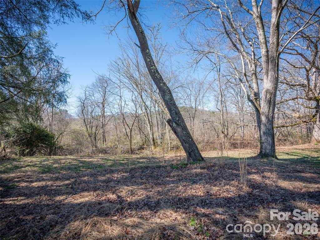 228 Main Street Rosman, NC 28772 - Photo 19 of 20