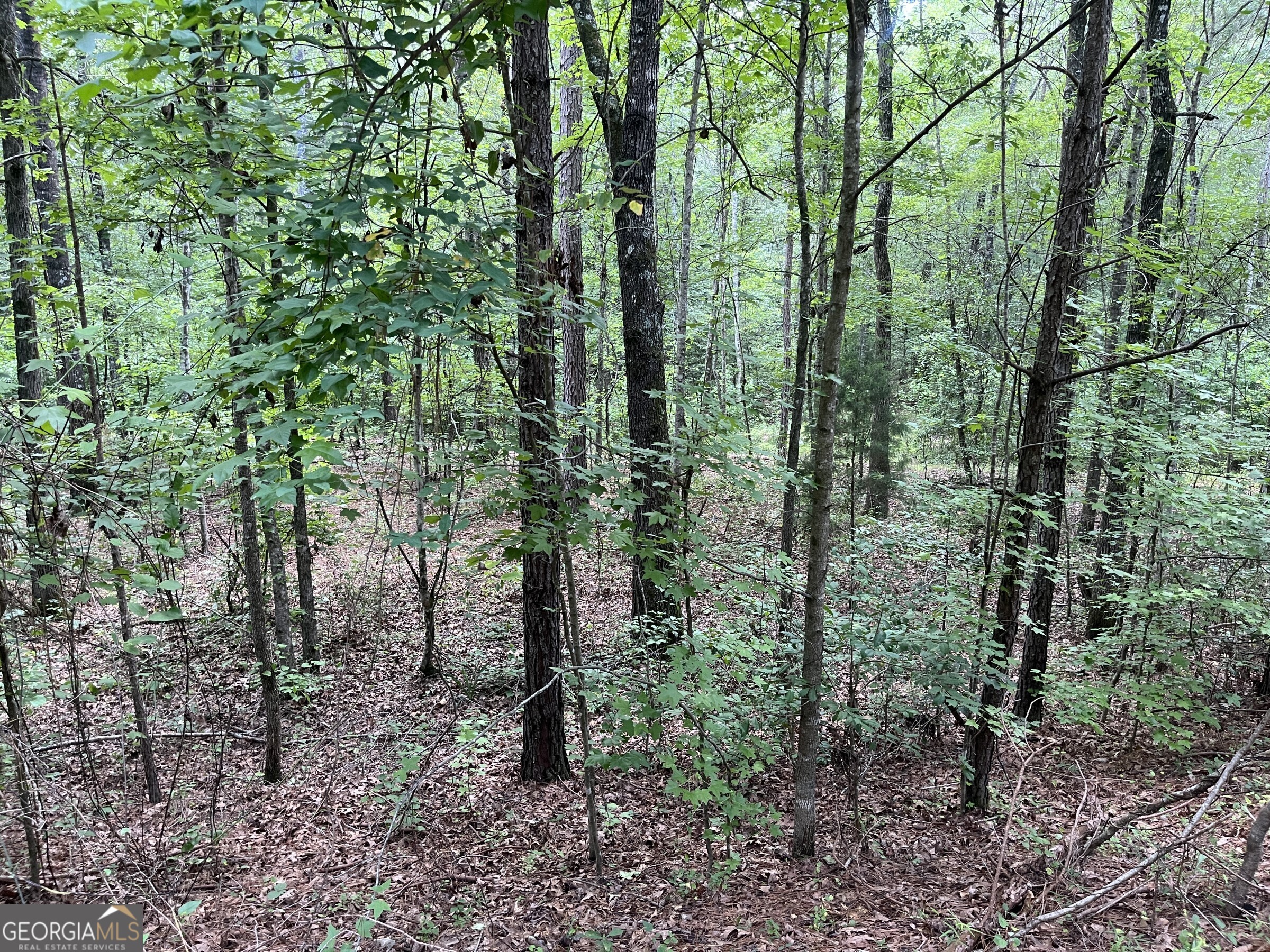 0 Wriley Road McIntyre, GA 31054 - Photo 24 of 29
