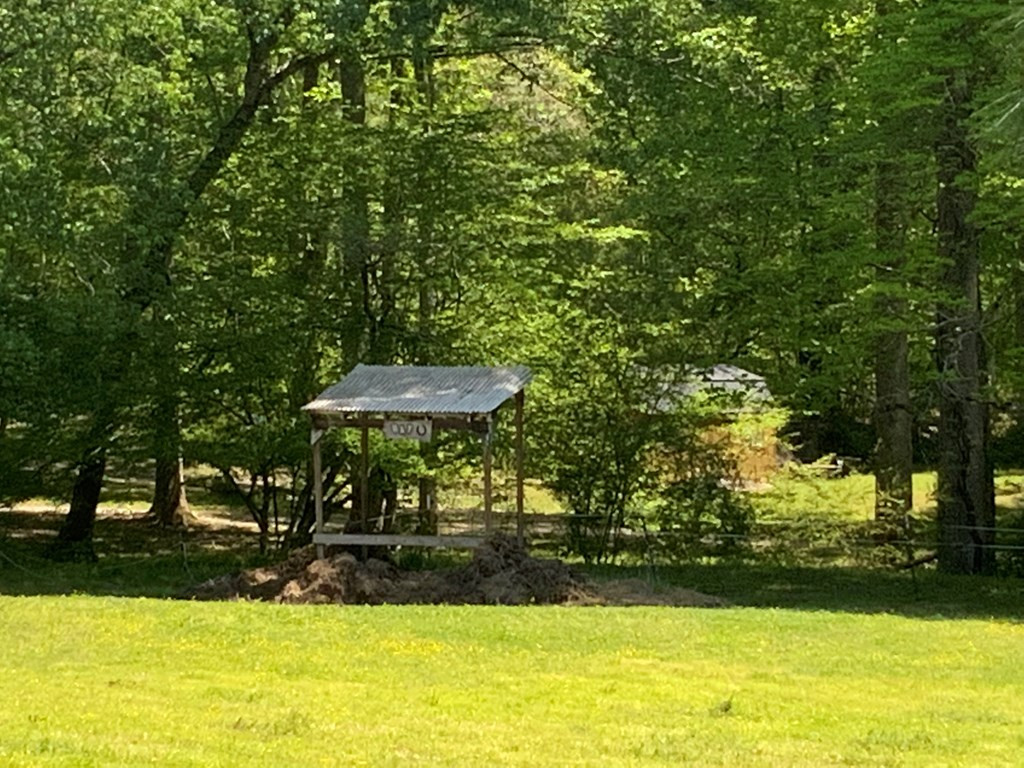 136 Gibson Road Andrews, NC 28901 - Photo 68 of 68
