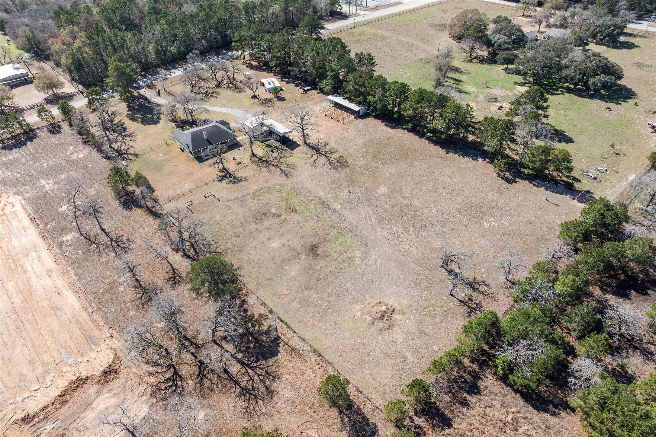23530 Hargrave Road Hockley, TX 77447 - Photo 33 of 46 a view of a dry yard with a tree
