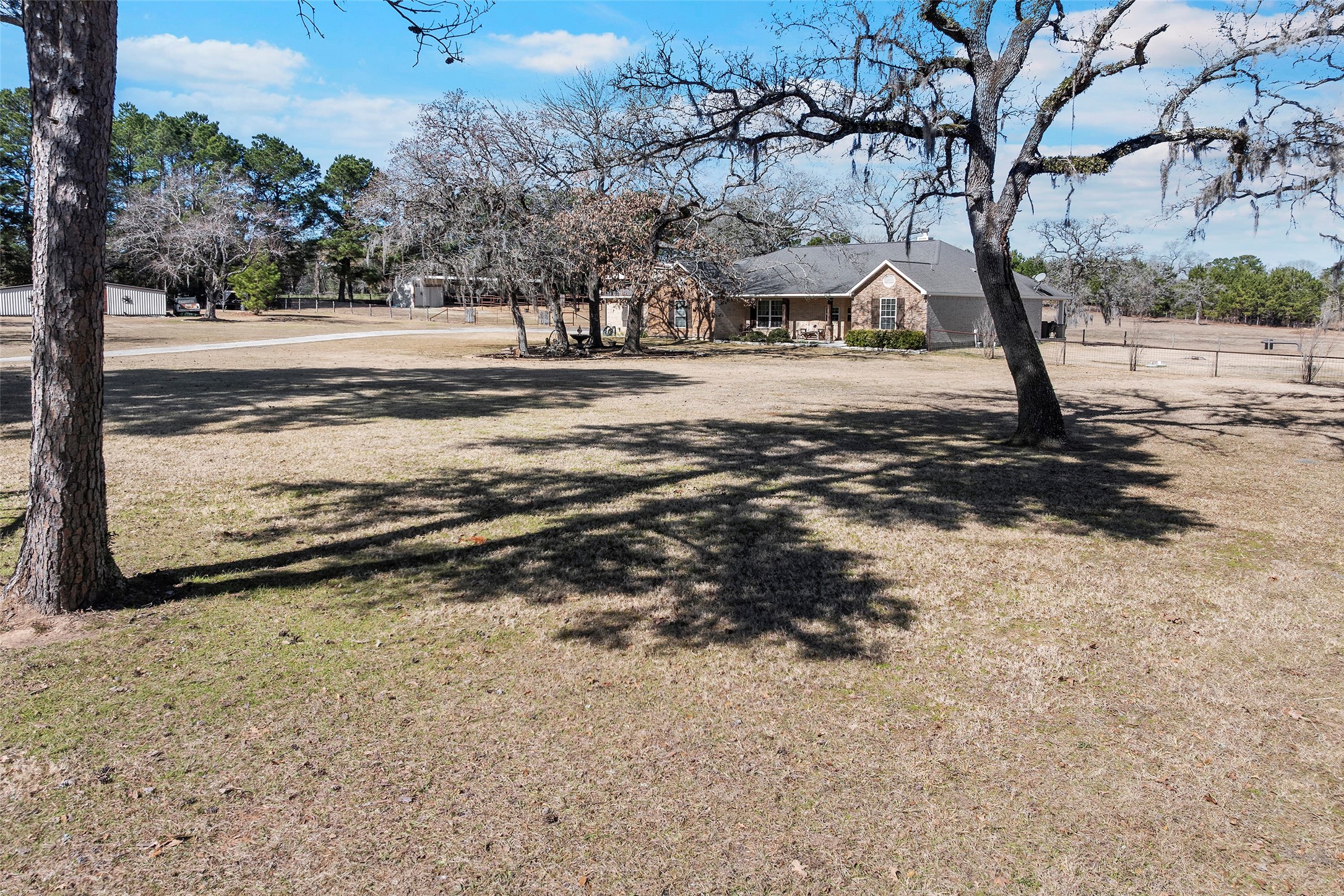 23530 Hargrave Road Hockley, TX 77447 - Photo 43 of 46 a view of dirt yard with a large tree