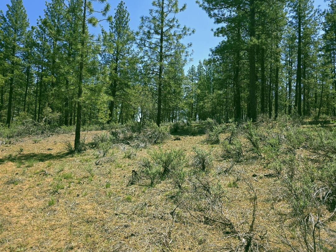 0 Elde Street, Unit 20 Chiloquin, OR 97624 - Photo 5 of 10