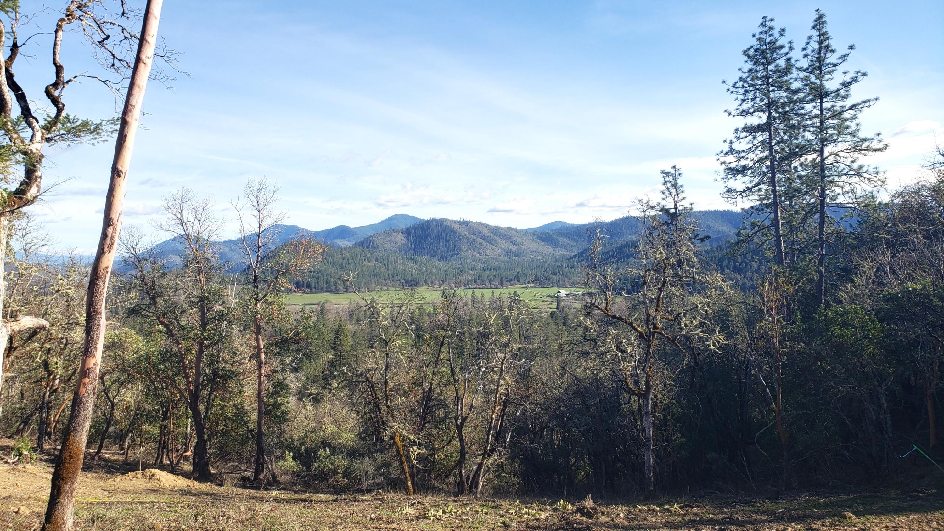 Messinger Road, Unit 600 Williams, OR 97544 - Photo 4 of 4 20260306_152431