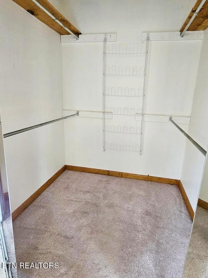 240 West Rockwood Ferry Road Ten Mile, TN 37880 - Photo 16 of 29 Primary bedroom walk-in closet