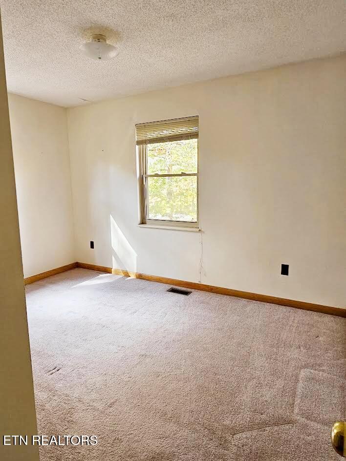 240 West Rockwood Ferry Road Ten Mile, TN 37880 - Photo 19 of 29 Bedroom