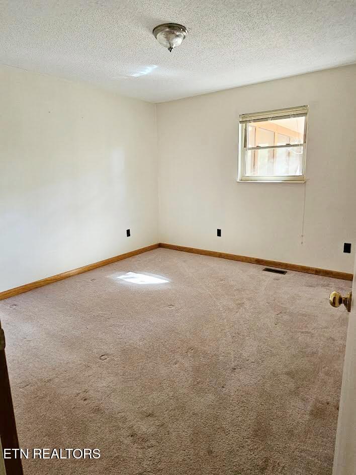 240 West Rockwood Ferry Road Ten Mile, TN 37880 - Photo 20 of 29 Bedroom