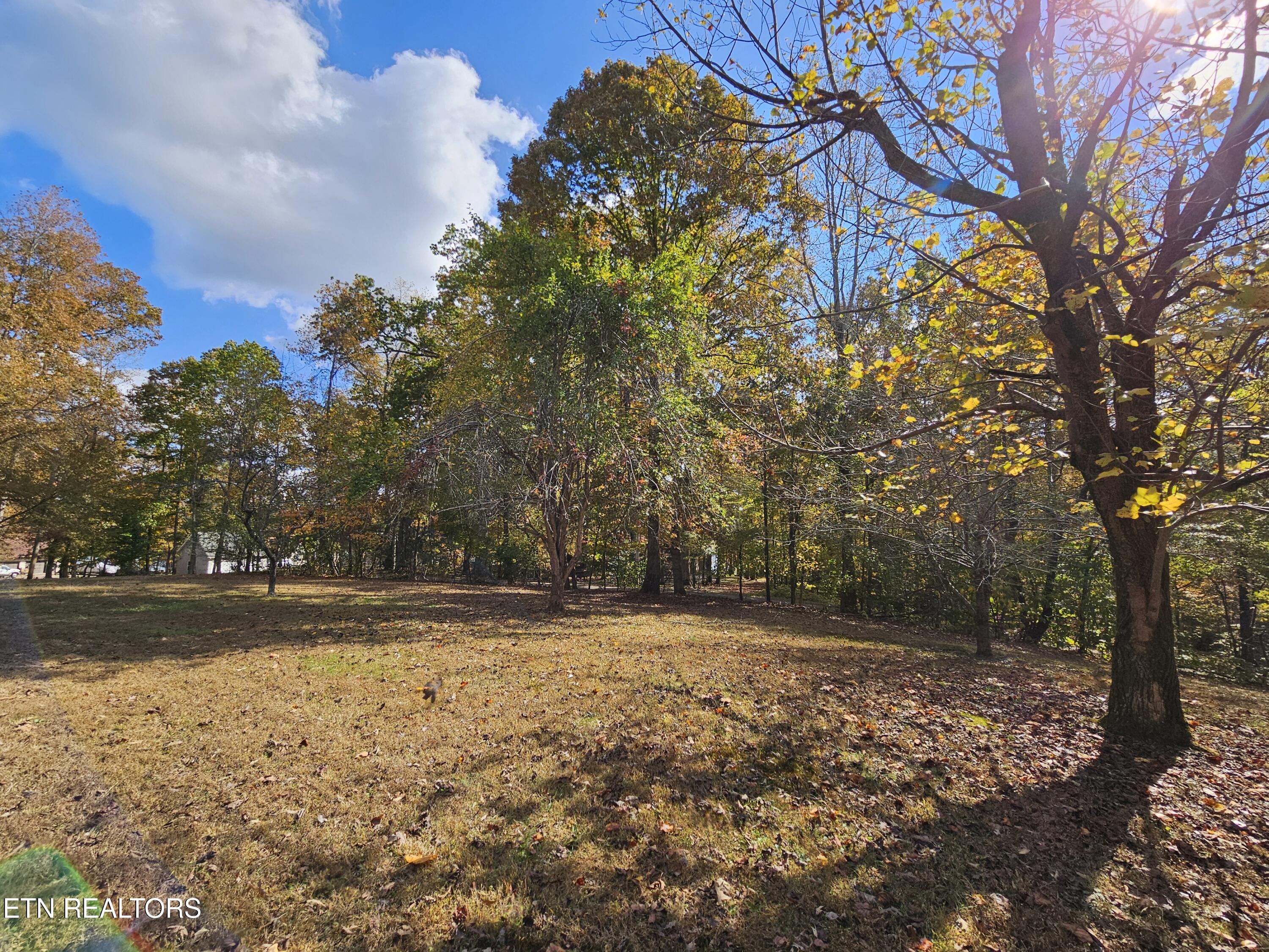 240 West Rockwood Ferry Road Ten Mile, TN 37880 - Photo 5 of 29 Massive back yard