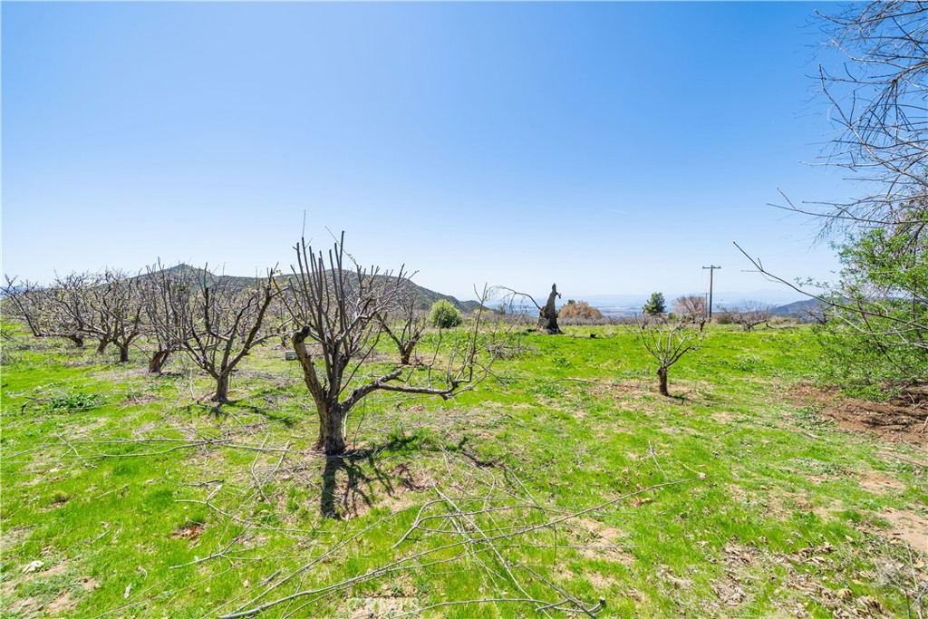 13557 Mile High Ranch Road Beaumont, CA 92223 - Photo 4 of 21 Gallery Image 4