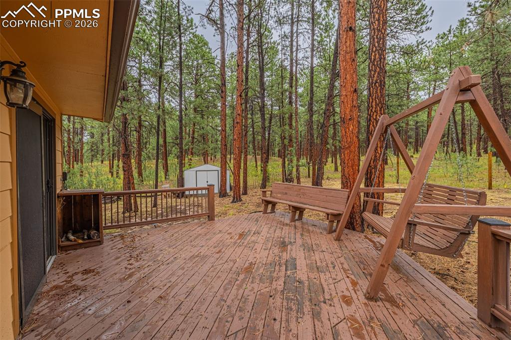 15845 Roller Coaster Road Colorado Springs, CO 80921 - Photo 23 of 29 a park with large trees and a wooden bench