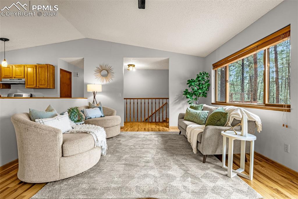 15845 Roller Coaster Road Colorado Springs, CO 80921 - Photo 6 of 29 a living room with furniture and a flat screen tv
