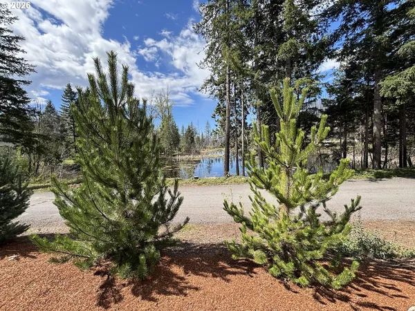 $175,000 | 54432 McKenzie Highway, Unit 41, Blue River, OR 97413