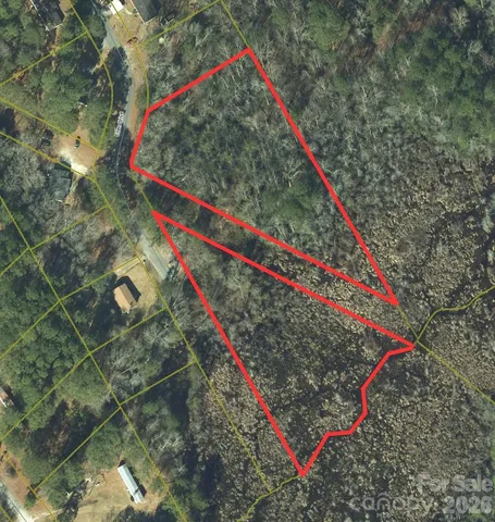 a view of a forest with trees in the background