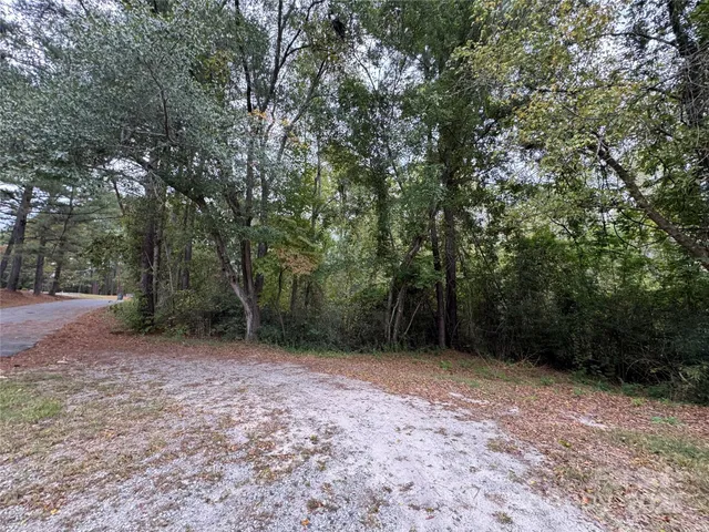 $35,000 | 0 Ellen Drive, Hamlet, NC 28345