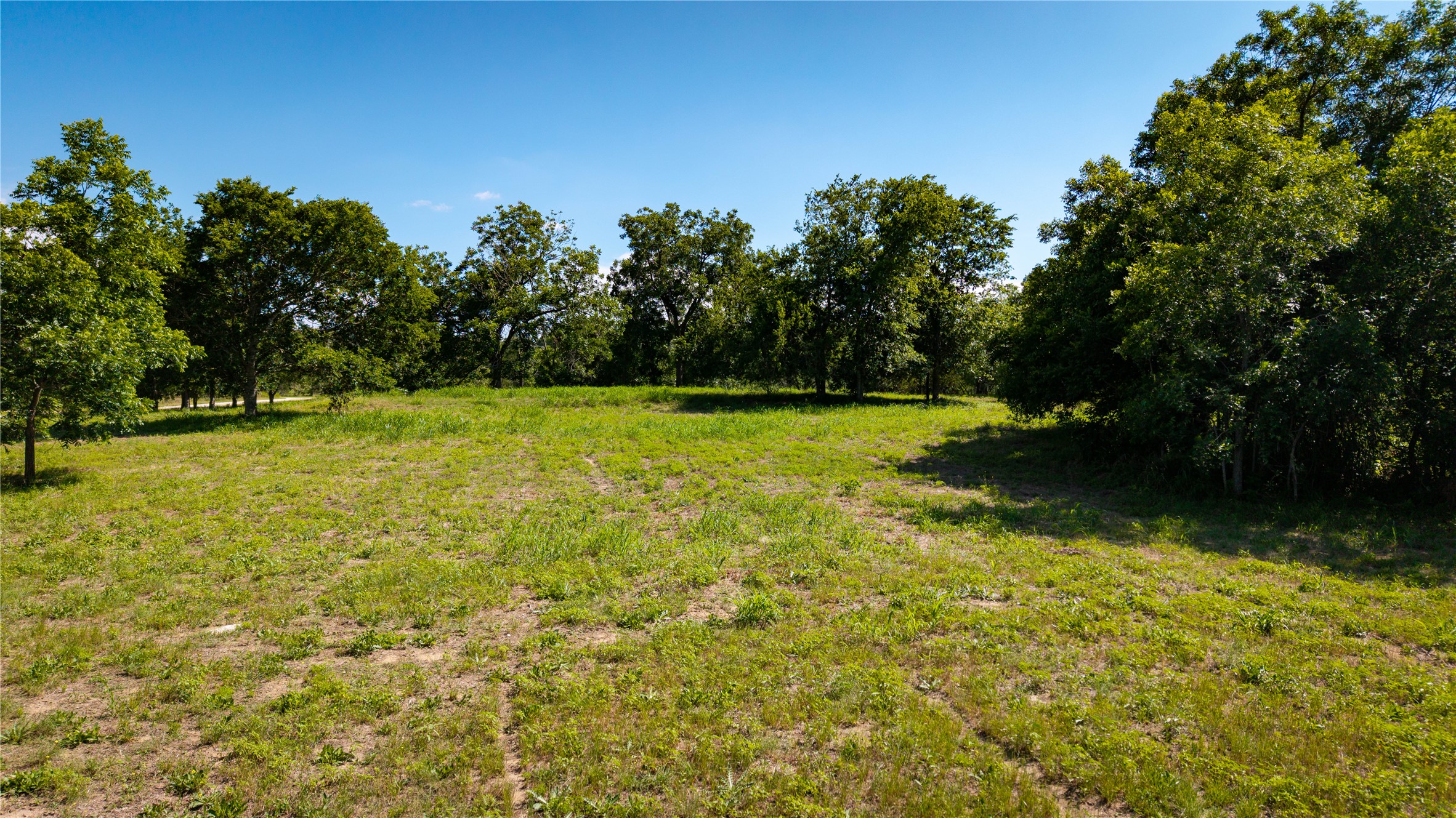 Tbd Lost Acres Loop Blanco, TX 78606 - Photo 24 of 39 a view of outdoor space and yard