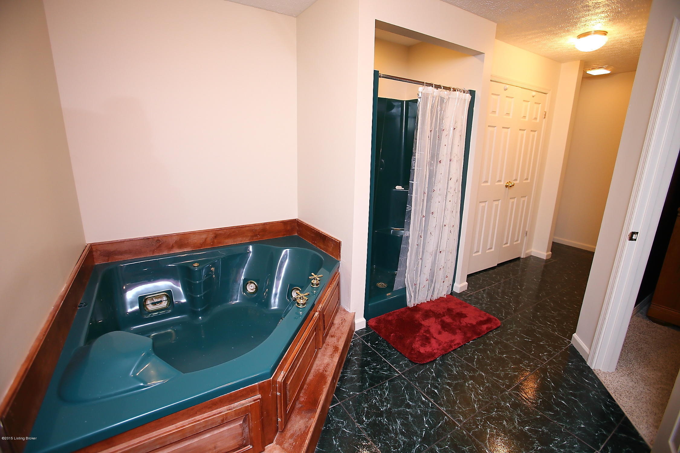 4719 Beech Grv Road Lebanon Junction, KY 40150 - Photo 29 of 52 Master Bath