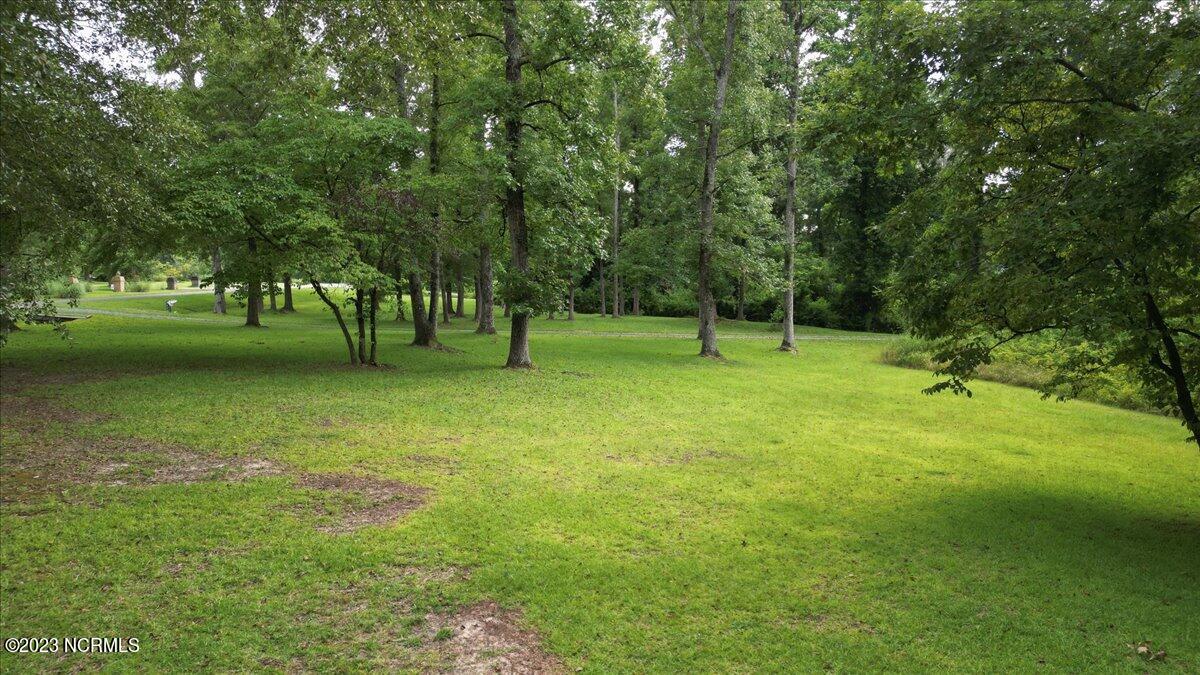 228 Sneads Mill Road Rockingham, NC 28379 - Photo 61 of 64 228 Sneads Mill