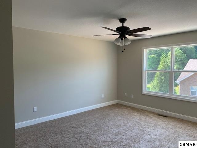 1917 Canyon Road Sevierville, TN 37862 - Photo 14 of 33 Gallery Image 14