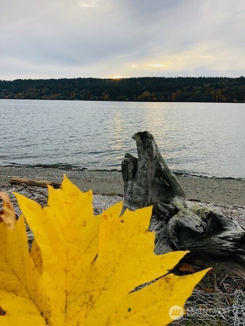 27728 Manzanita Beach Road Southwest Vashon, WA 98070 - Photo 5 of 17 a view of a lake