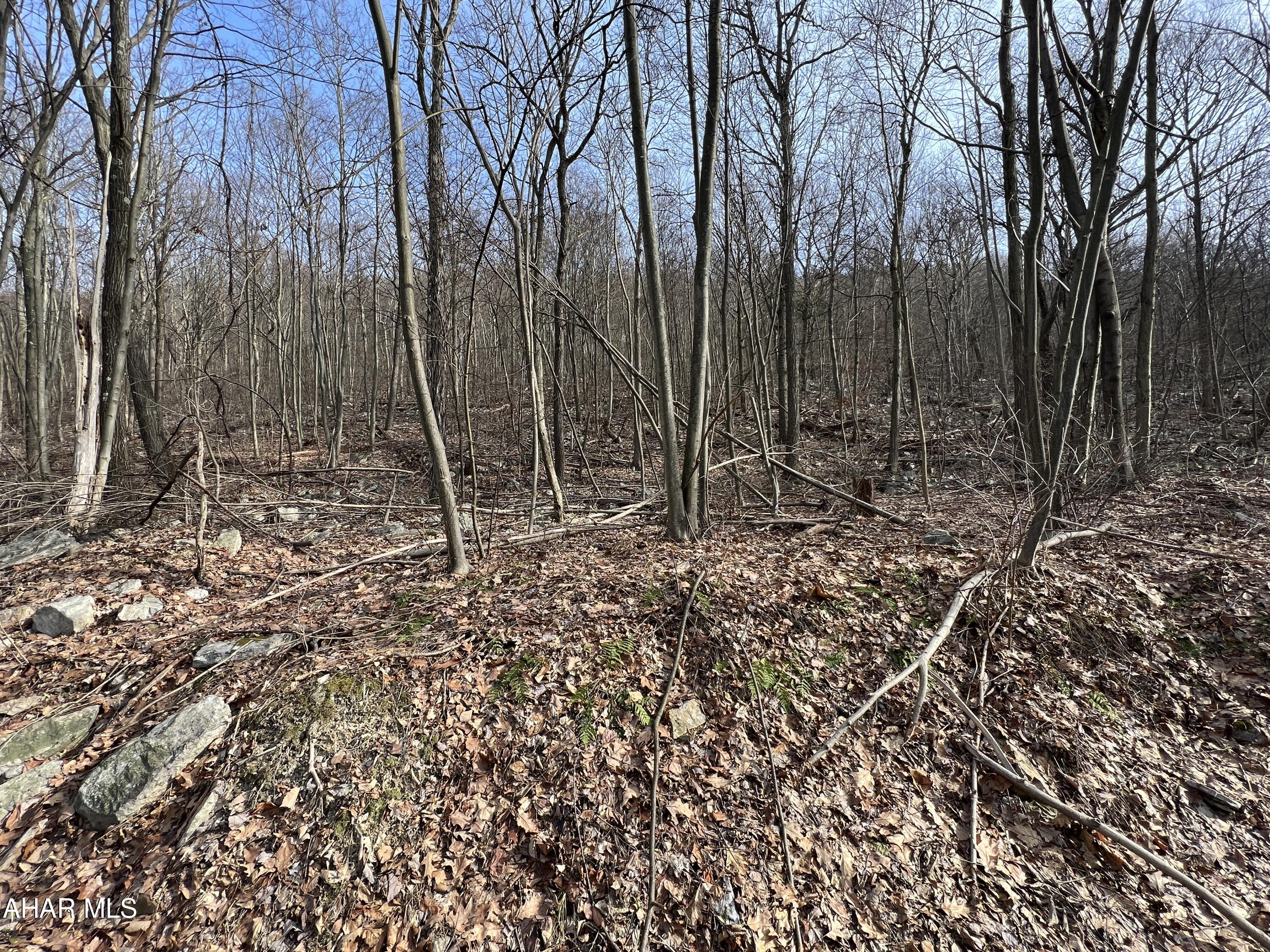 0 Brumbaugh Road Osterburg, PA 16667 - Photo 27 of 30