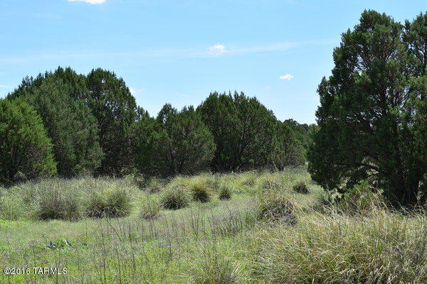 Umpire Ranch Road Elgin, AZ 85611 - Photo 8 of 27