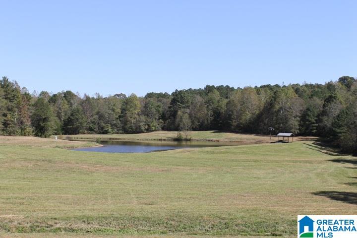 3258 Youngs Mill Road Lineville, AL 36266 - Photo 35 of 50