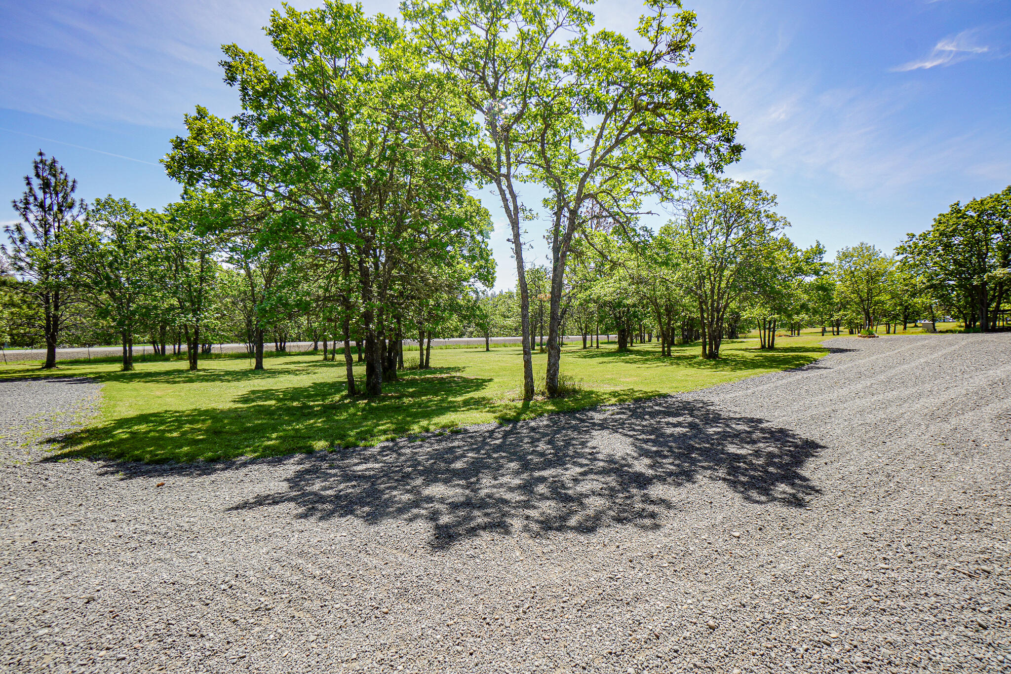 6297 Dodge Road White City, OR 97503 - Photo 45 of 45 a view of a park with tree s