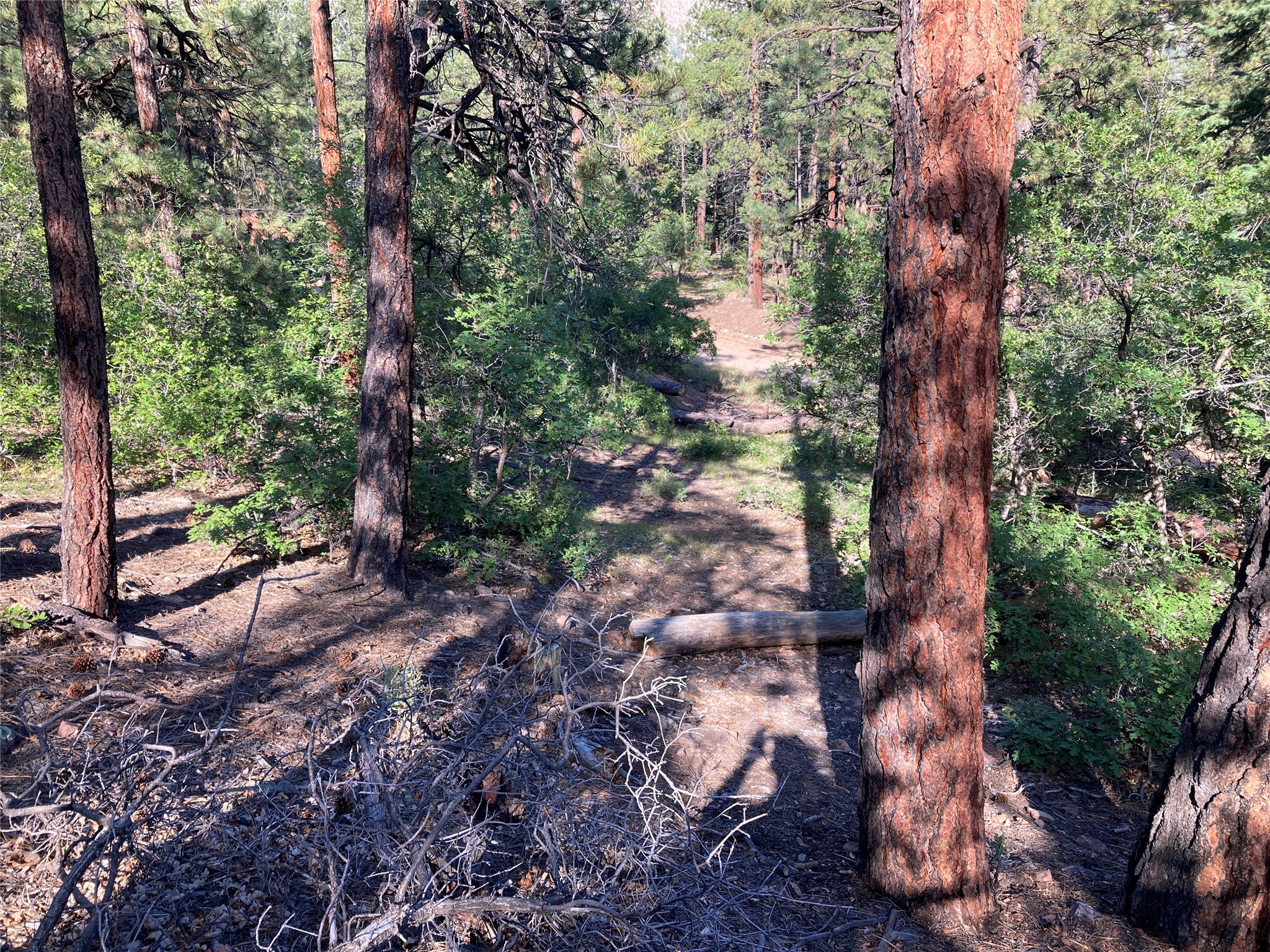 Tbd Serenity Road Chama, NM 87520 - Photo 11 of 20