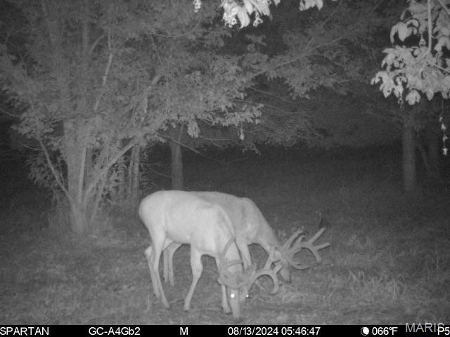 22 Hematite Farms Road Festus, MO 63028 - Photo 2 of 3