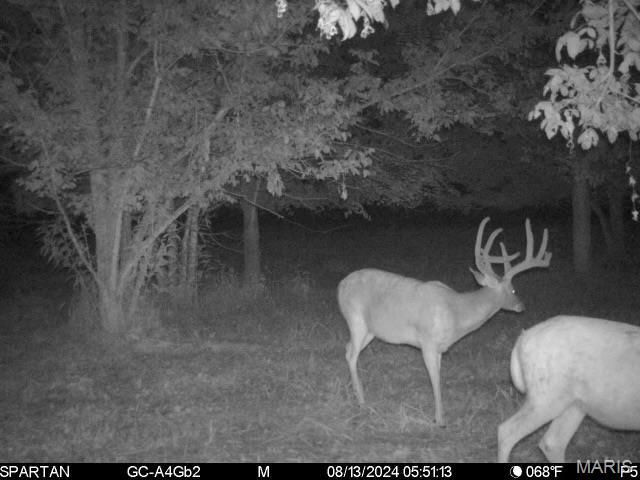 22 Hematite Farms Road Festus, MO 63028 - Photo 3 of 3