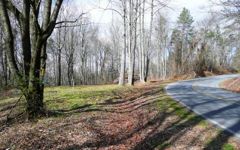 6-ac Pleasant Grove Road Ellijay, GA 30540 - Photo 1 of 1 Main View