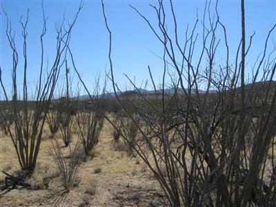 0 West Pima Mine Road West Sahuarita, AZ 85629 - Photo 1 of 5