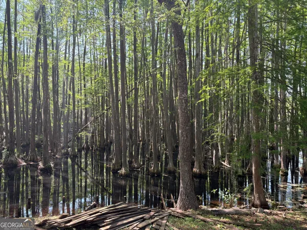 $329,000 | 159 Cypress Lake Drive, Statesboro, GA 30458