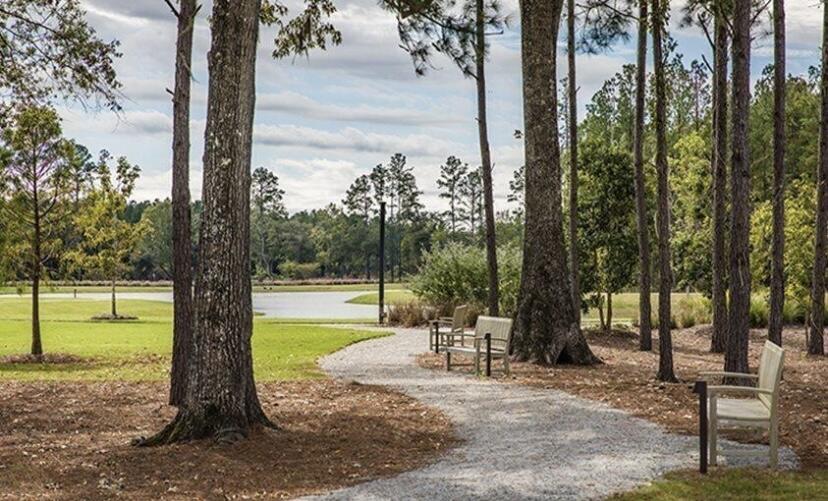 1042 Lettered Olive Lane Summerville, SC 29485 - Photo 19 of 25