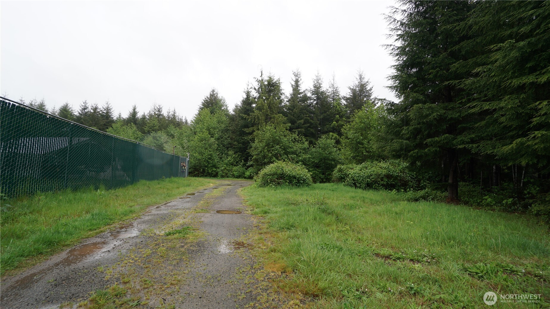 84 Hanson Road Hoquiam, WA 98550 - Photo 4 of 14 a view of a grassy field with trees in the background