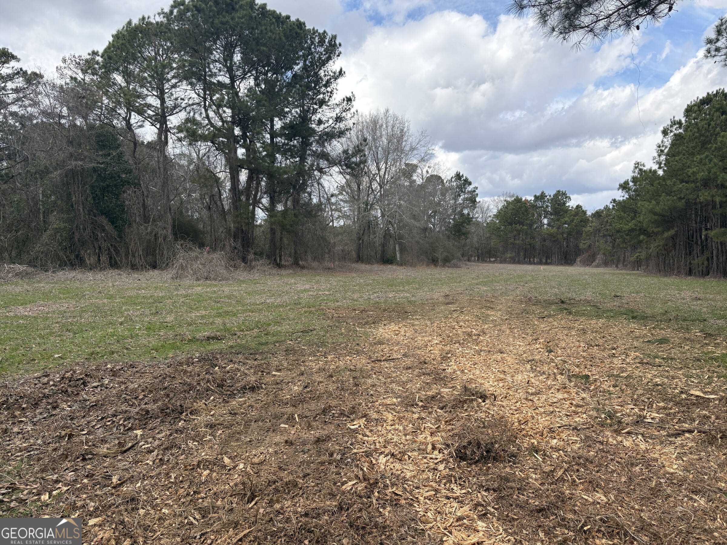 L2 Keysville-boggs Academy Road Keysville, GA 30816 - Photo 2 of 6