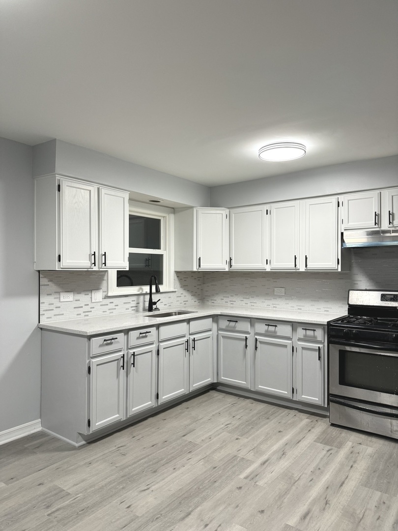82 Luella Avenue, Unit 2 Calumet City, IL 60409 - Photo 11 of 12 a kitchen with granite countertop a sink and white cabinets