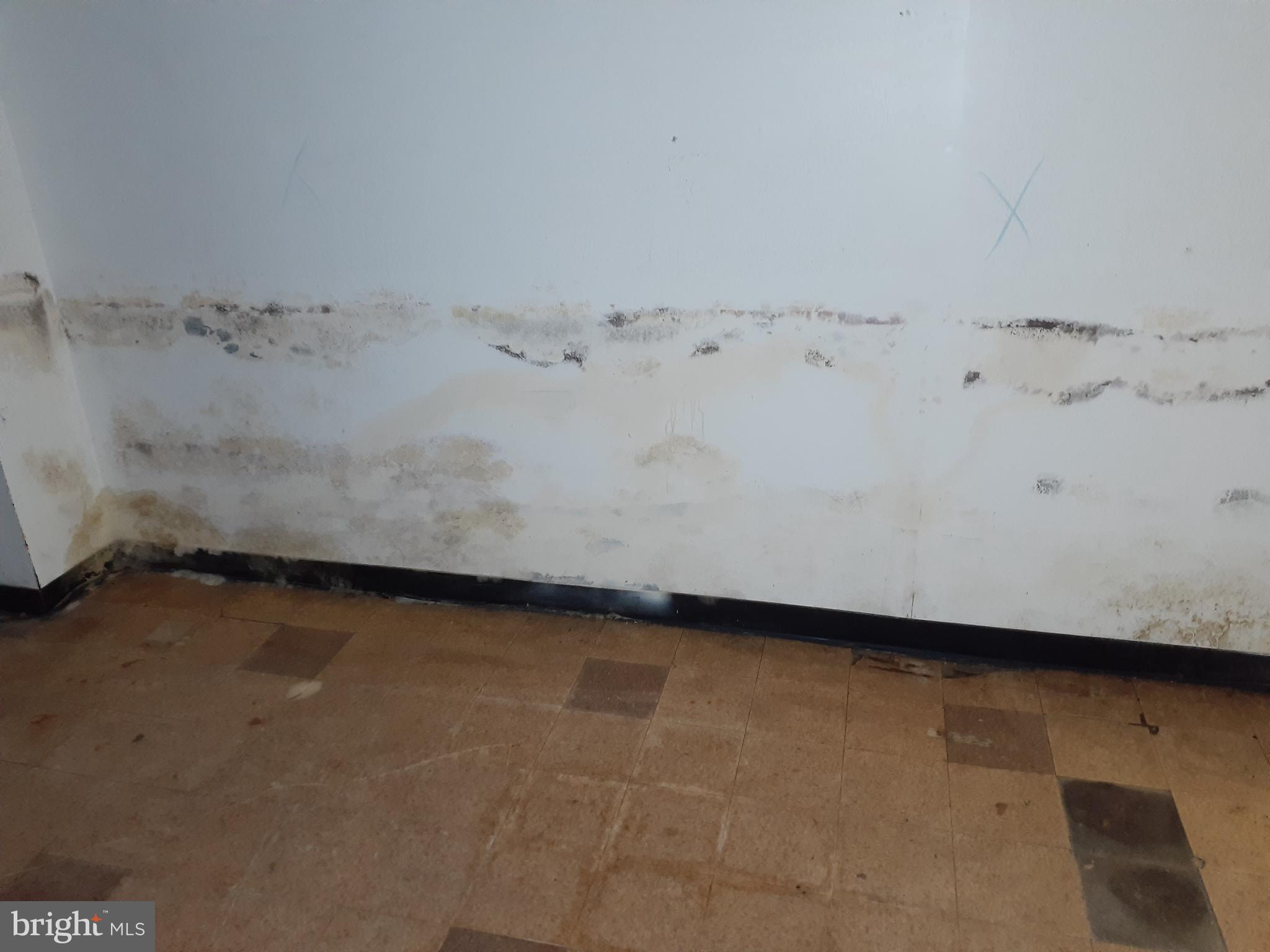 2714 Riggs Avenue Baltimore, MD 21216 - Photo 6 of 57