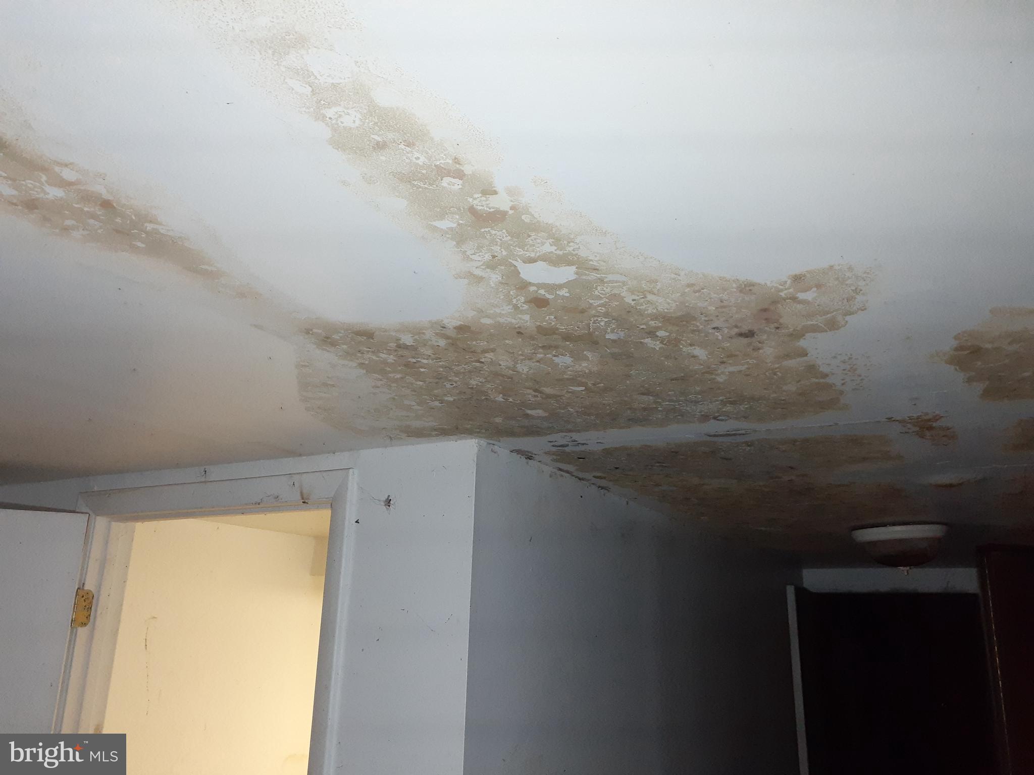 2714 Riggs Avenue Baltimore, MD 21216 - Photo 7 of 57