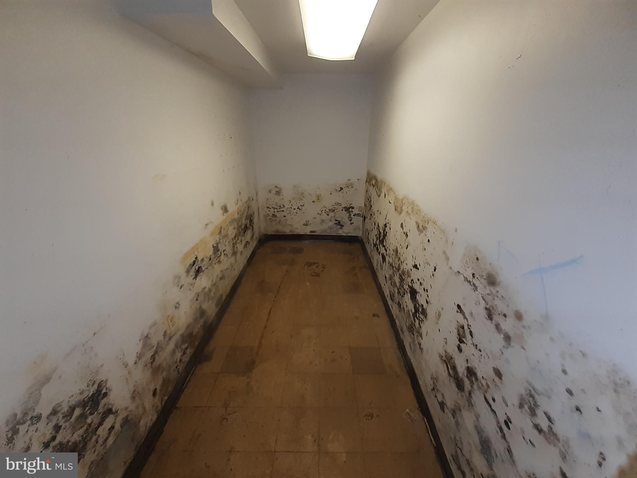 2714 Riggs Avenue Baltimore, MD 21216 - Photo 9 of 57