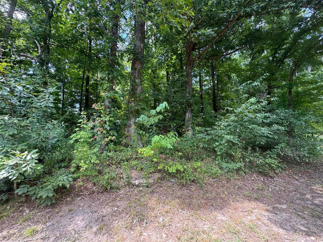 230 D D Morgan Road Russellville, KY 42276 - Photo 23 of 25 Gallery Image 23