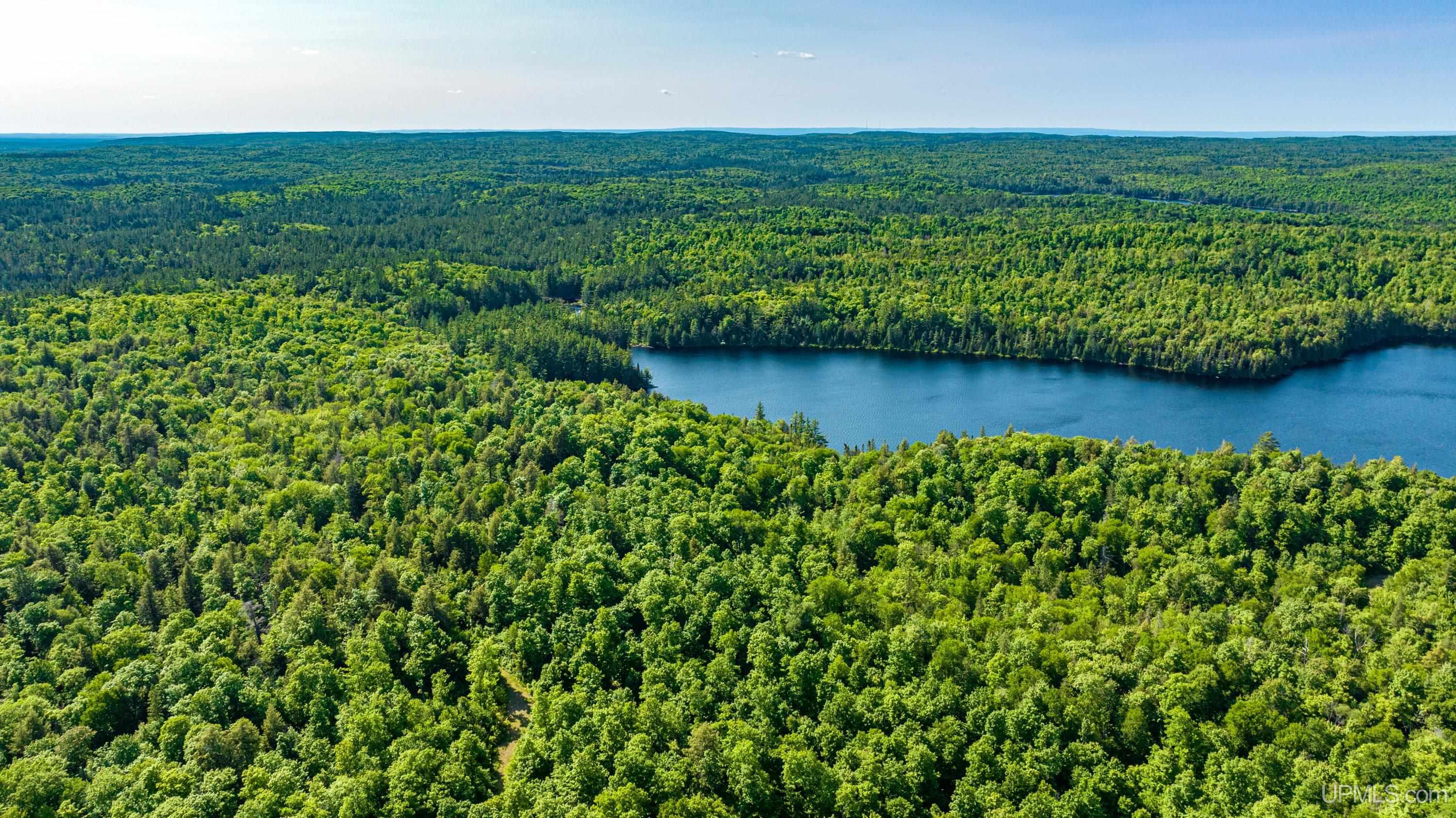 Tbd Tbd Dommer Lake Road Michigamme, MI 49861 - Photo 9 of 25