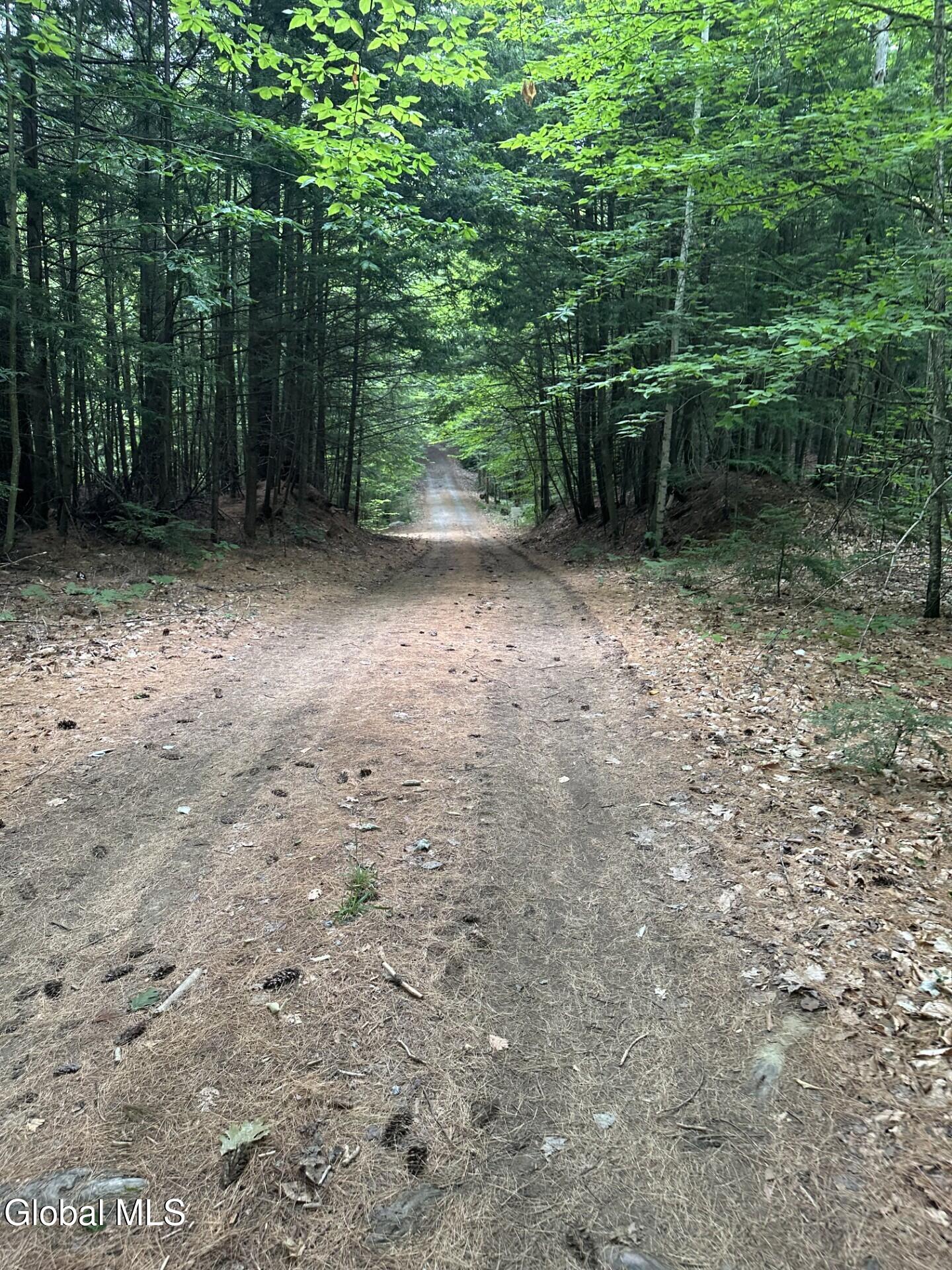 972 Friends Lake Road Chester, NY 12817 - Photo 21 of 53 Private road